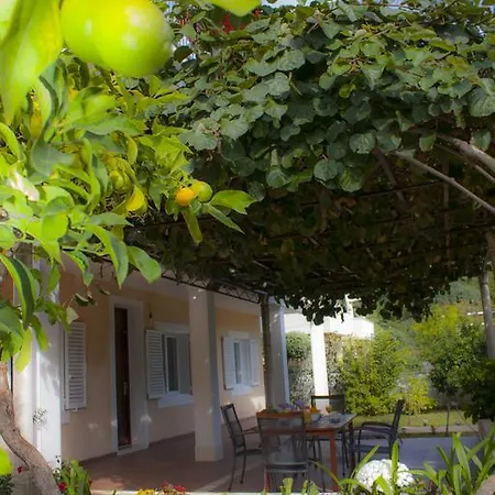 Park Apartment *