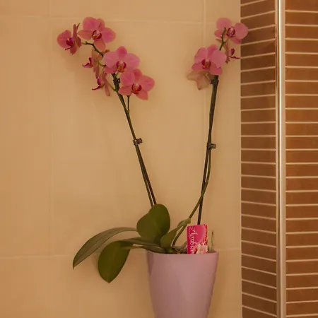 Apartamento Park Dubrovnik