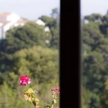 Park Apartment Dubrovnik