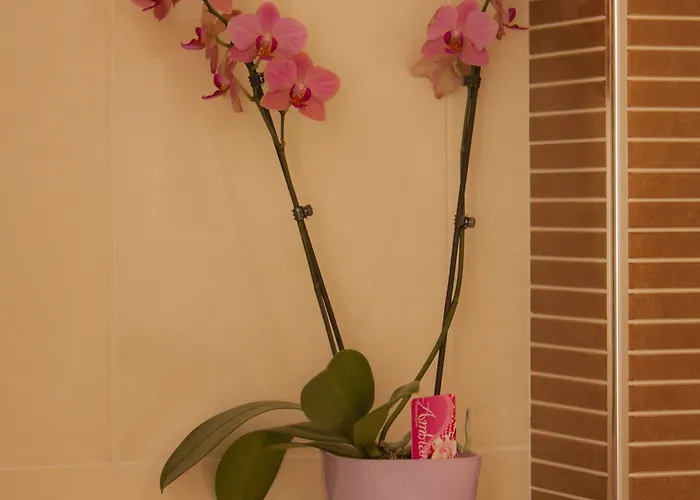 アパート グリーン パーク ドゥブロブニク