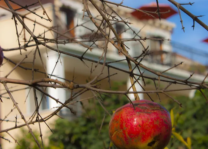 グリーン パーク