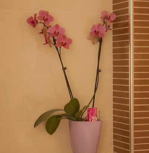 绿色公园公寓 公寓