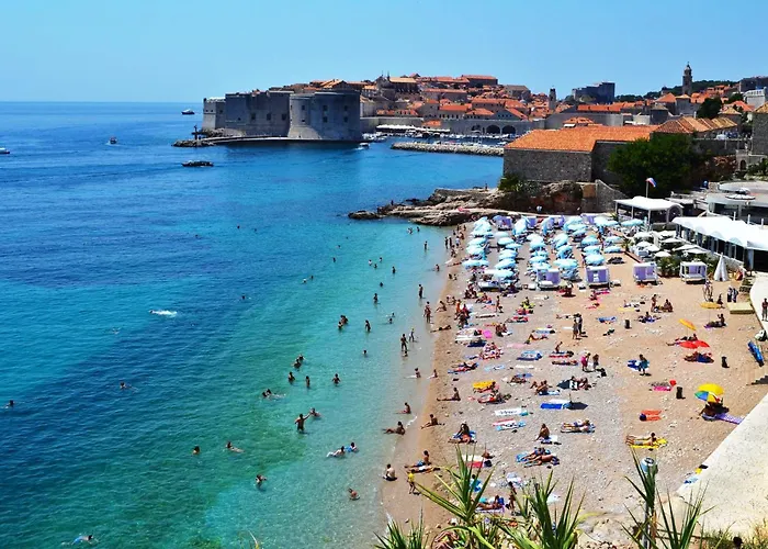 公寓 绿色公园公寓