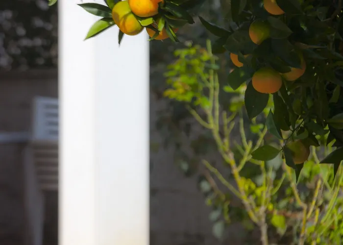 公寓 绿色公园公寓