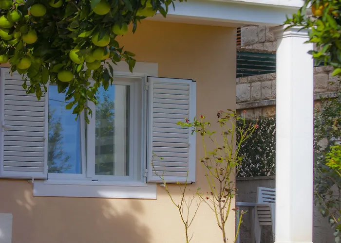 绿色公园公寓 公寓 *